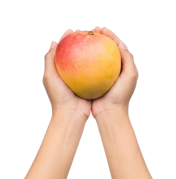 Beyaz Arka Planda Ele Tutuşan Mango Meyvesi — Stok fotoğraf