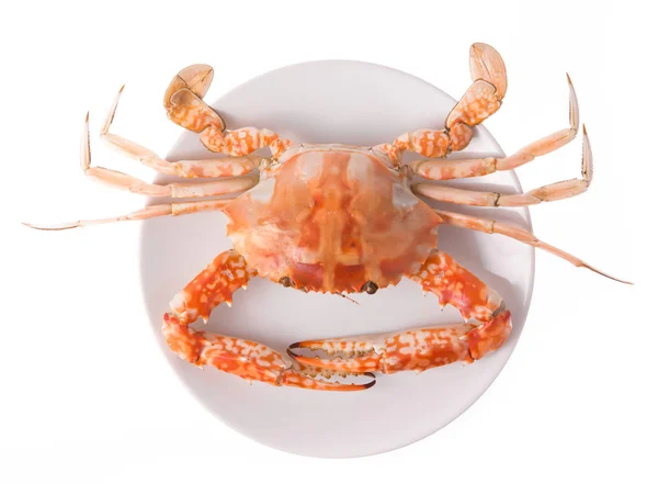 Gekookte Krab Bereid Plaat Geïsoleerd Witte Achtergrond — Stockfoto