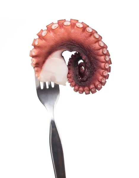 Handen Vasthouden Vork Eten Tentakels Van Octopus Geïsoleerd Witte Achtergrond — Stockfoto