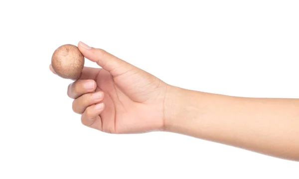 Mão Segurando Champignon Cogumelo Isolado Fundo Branco — Fotografia de Stock