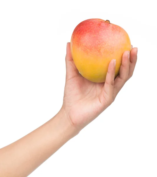 Mango Mano Frutta Isolato Sfondo Bianco — Foto Stock