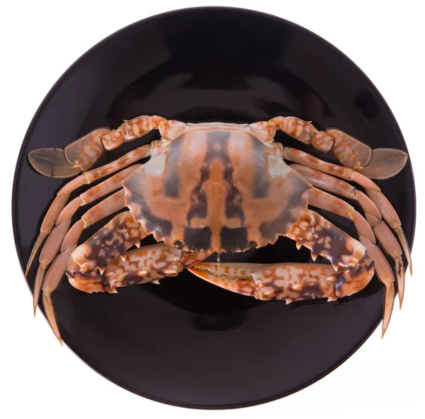黑盘上的新鲜螃蟹 白色背景隔离 — 图库照片