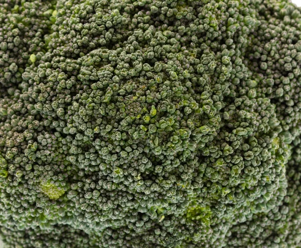 Fundo Verde Brócolis Fresco — Fotografia de Stock