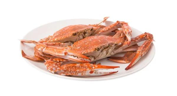 Plat Aux Fruits Mer Crabe Sur Plat Isolé Sur Fond — Photo