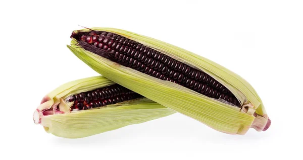 Ekologisk Svart Majs Med Gröna Blad Isolerad Vit Bakgrund — Stockfoto