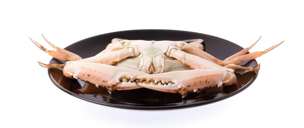 Fresh Crab Black Plate Isolated White Background — Stock Photo, Image