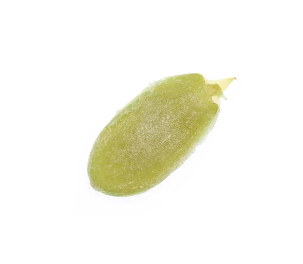 Pumpkin Seed Isolated White Backgroundc — Stock Photo, Image