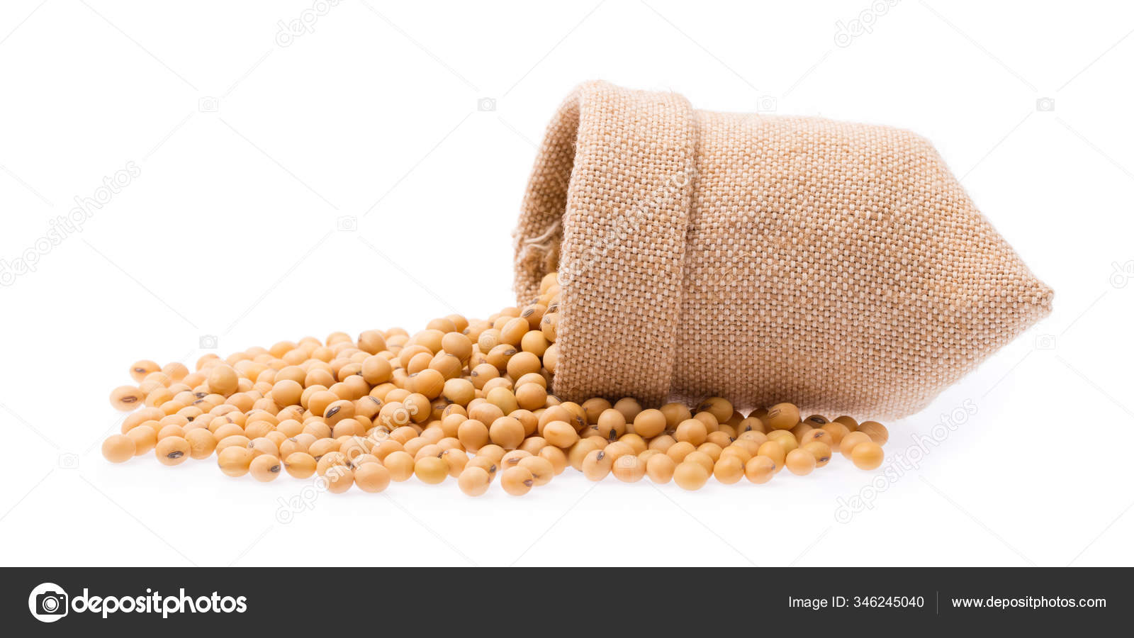 Touchhealthy Supply High Yield Soybean Seed Price Per Bag - China Seed,  Soybean Seeds | Made-in-China.com