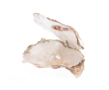 Açık istiridye inci izole üzerinde beyaz arka plan ile