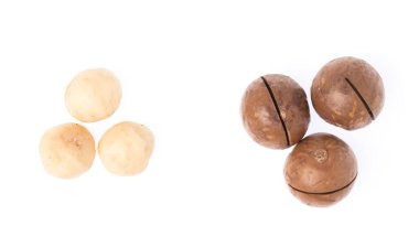Macadamia beyaz arkaplanda izole edildi