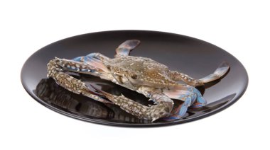 Beyaz arkaplanda izole edilmiş siyah bir tabakta çiğ yengeç.