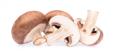 Şampiyon mantarının kesimi beyaz arkaplanda izole edildi