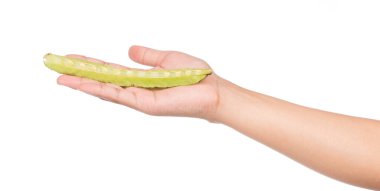 Beyaz arka planda kabaklı sebze kabağının yarısını tutan el.