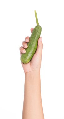 Beyaz arka planda kabak kabağı tutan el kabağı.