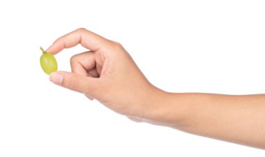 Beyaz arka planda taze üzüm tutan el.