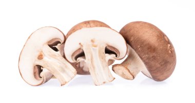 Şampiyon mantarının kesimi beyaz arkaplanda izole edildi