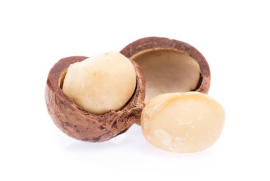 Macadamia fındığı beyaz arkaplanda izole edildi.