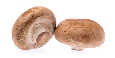 Portobello mantarları, beyaz arka planda izole edilmiş..