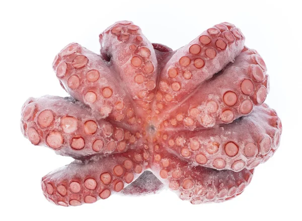 Octopus Inktvis Bevroren Geïsoleerd Witte Achtergrond — Stockfoto