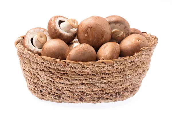 强尼翁蘑菇篮子 白色背景隔离 — 图库照片
