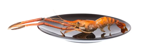 Shrimp Grilled Dish Isolated White Background — Stock Photo, Image