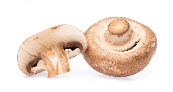 Portobello Mushrooms Isolated White Background — Stock Photo, Image