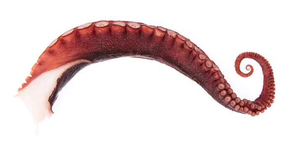 Beyaz arka plan üzerinde izole ahtapot tentacles