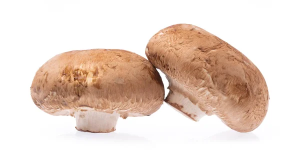 Portobello Mushrooms Isolated White Background — Stock Photo, Image