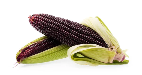 Свежий Фиолетовый Кукурузы Изолированы Белом Фоне — стоковое фото