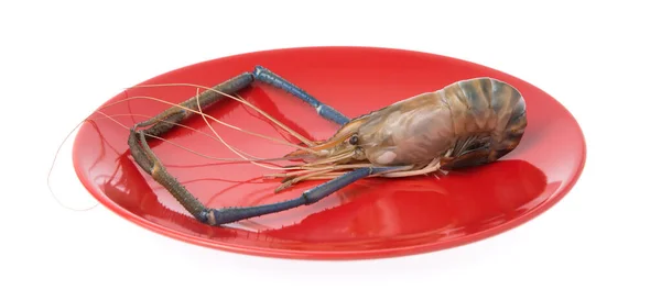 新鲜的大虾 放在白底等熟的盘子里 — 图库照片