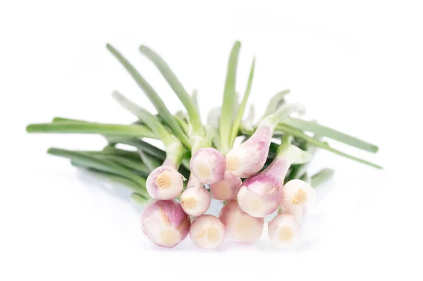 Onion Spring Isolated White Background — Stock Photo, Image