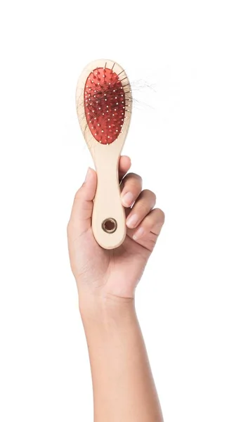 Hand Holding Hair Brush Lost Hair Isolated White Background — Stock Photo, Image