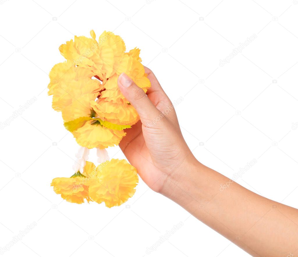 hand holding calendula garland isolated on white background