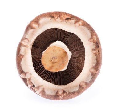 Beyaz arka plan üzerinde izole kahverengi champignon mantar