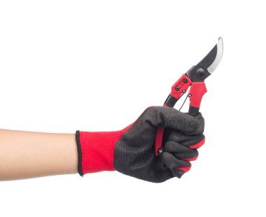 Beyaz arka planda izole edilmiş budama makası.