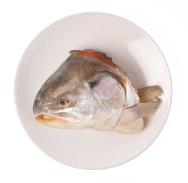 Beyaz arka planda izole edilmiş somon başı tabakası