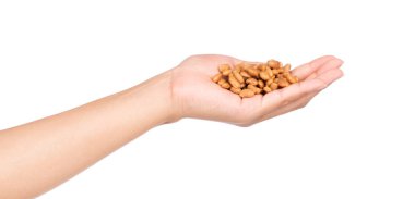 Eldeki soya fasulyesi ezmesi beyaz arkaplanda izole edilmiş..