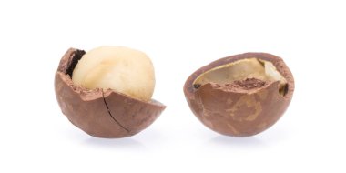 Macadamia beyaz arkaplanda izole edildi.