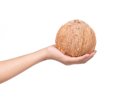 Hindistan cevizi tutarken Eski kahverengi beyaz arka planda izole