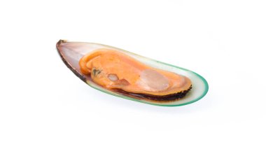 Beyaz arkaplanda izole edilmiş midyeler kaynatıldı