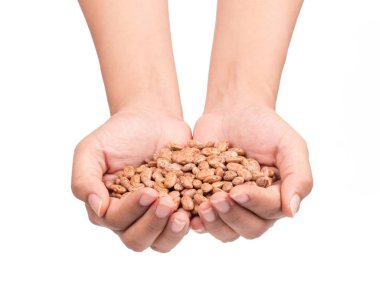 Beyaz bir arka planda el ele tutuşan Pinto fasulyeleri.