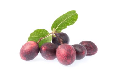 Beyaz arka planda yaprakları olan Carissa Carandas