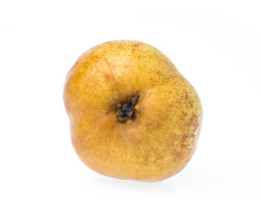 Beyaz arka plan üzerinde izole kahverengi armut