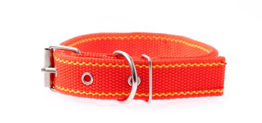 Beyaz arka planda izole edilmiş köpek tasması