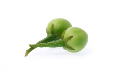 küçük patlıcan ya da hindi berry izole üzerinde beyaz arka plan