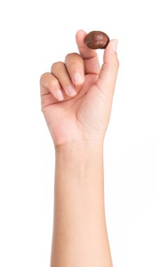 Beyaz arka planda el ele tutuşan kestaneler