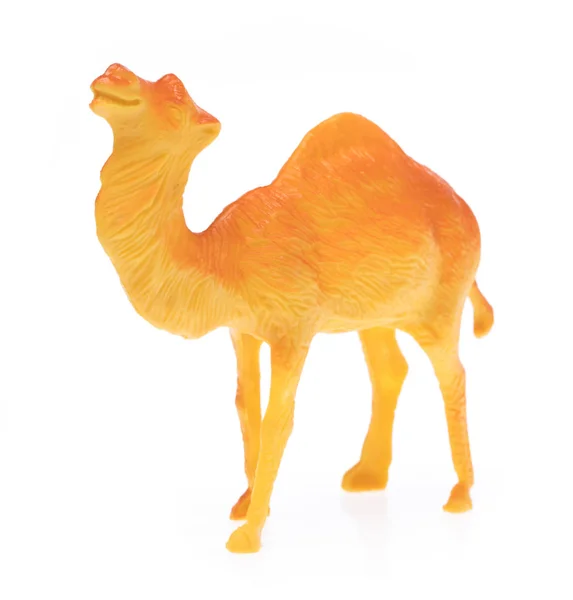 Camello Plástico Aislado Sobre Fondo Blanco —  Fotos de Stock