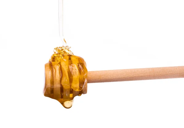 Honing Druipend Van Een Houten Honing Beer Geïsoleerd Witte Achtergrond — Stockfoto