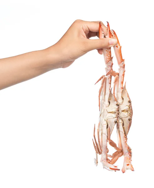 Genggam Tangan Kepiting Dimasak Terisolasi Pada Latar Belakang Putih — Stok Foto