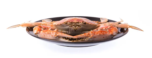 Gekookte Krab Bereid Plaat Geïsoleerd Witte Achtergrond — Stockfoto